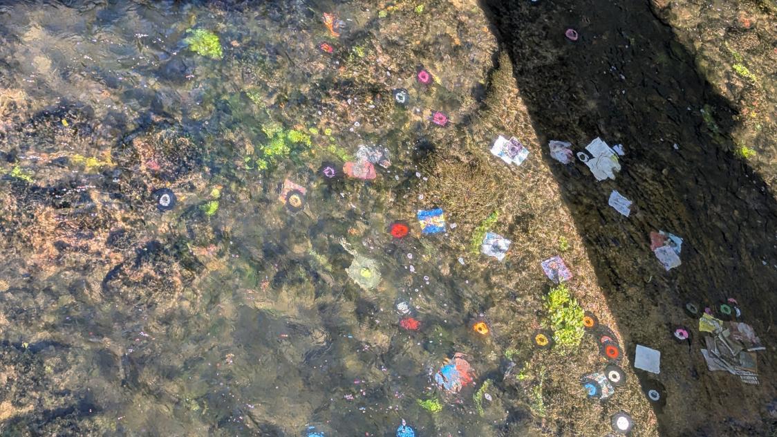 Plaines saint Lange - Pourquoi jeter des disques vinyles dans la Seine