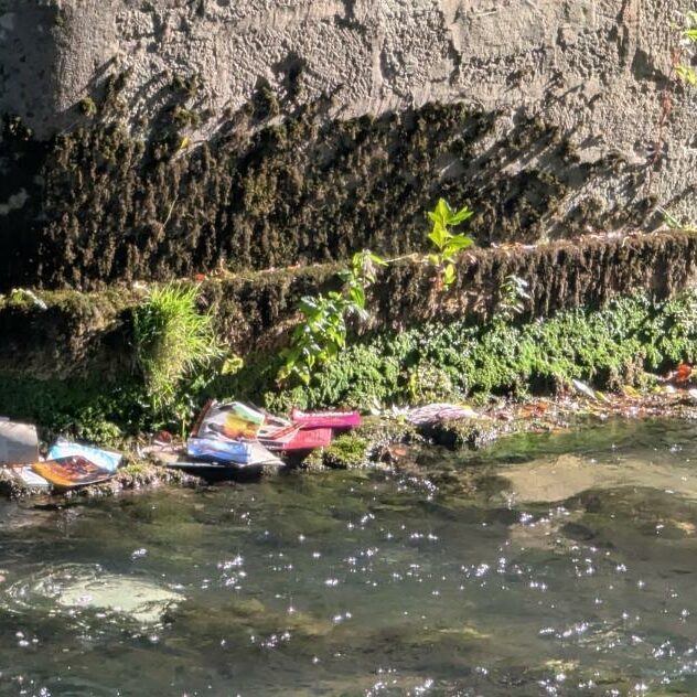 Pourquoi jeter des disques vinyles dans la Seine