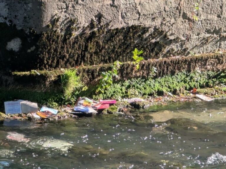 Pourquoi jeter des disques vinyles dans la Seine